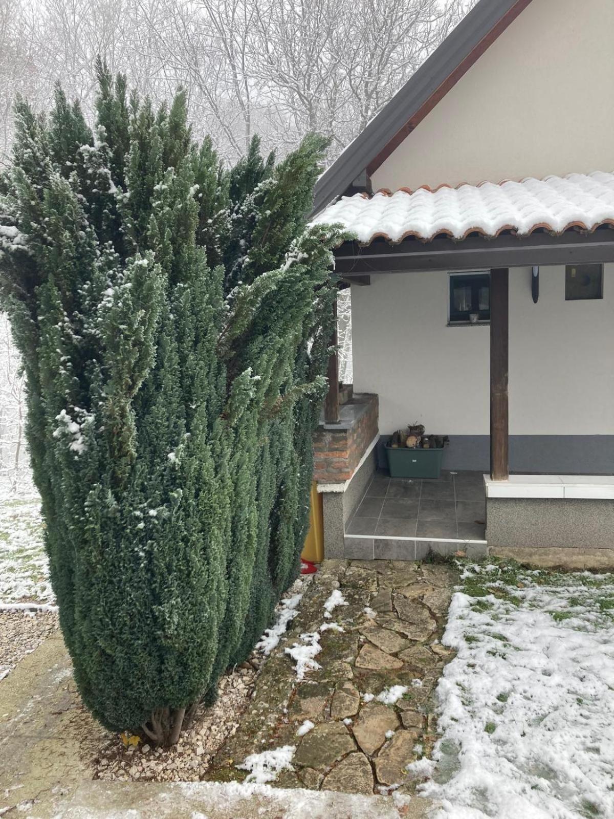 Holiday Home Tunnel Ravne Visoko Exterior photo